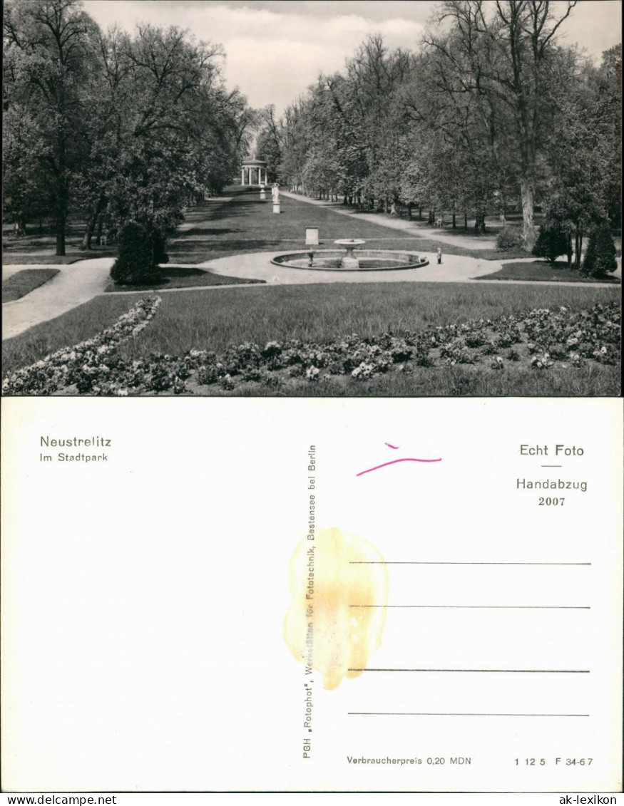 Ansichtskarte Neustrelitz Stadtpark 1965 - Neustrelitz