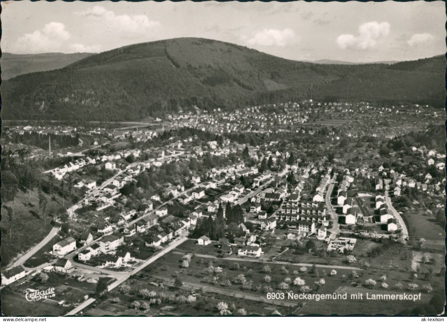 Neckargemünd Panorama Luftaufnahme Gesamtansicht Vom Flugzeug Aus 1972/1967 - Neckargemuend