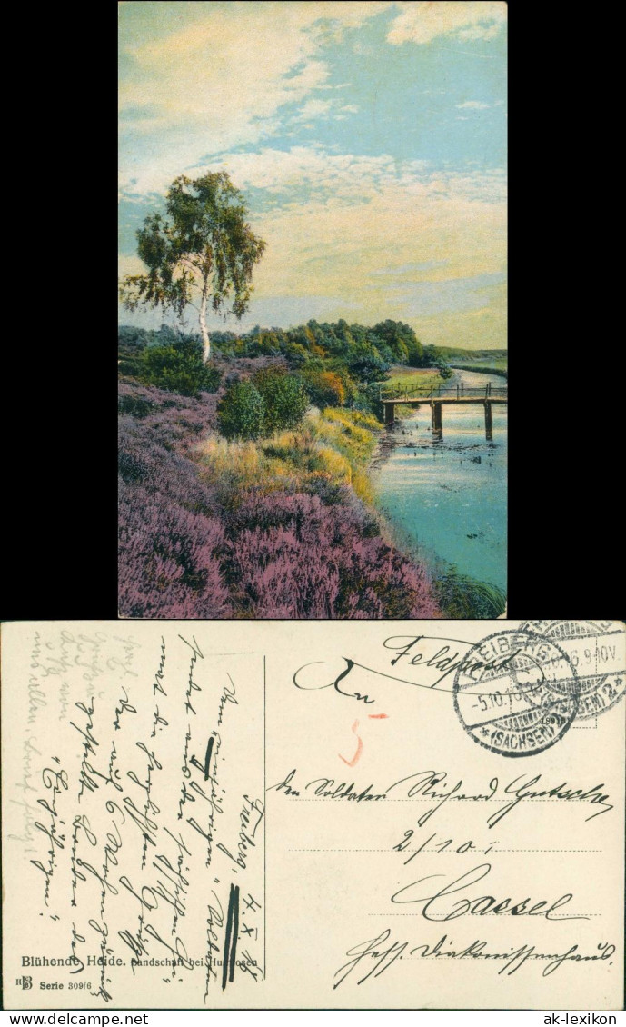 Ansichtskarte Waldenburg (Sachsen) Fluss - Blühende Heidelandschaft 1916 - Waldenburg (Sachsen)