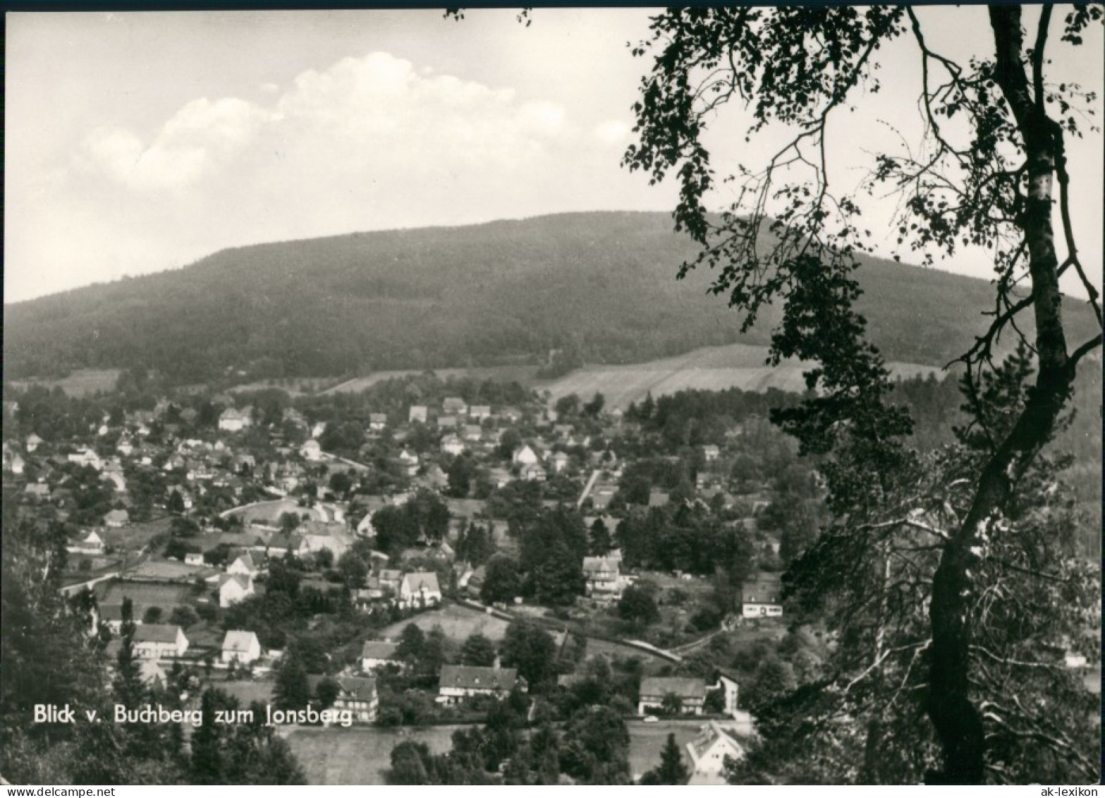 Ansichtskarte Jonsdorf Blick Auf Die Stadt 1976 - Jonsdorf