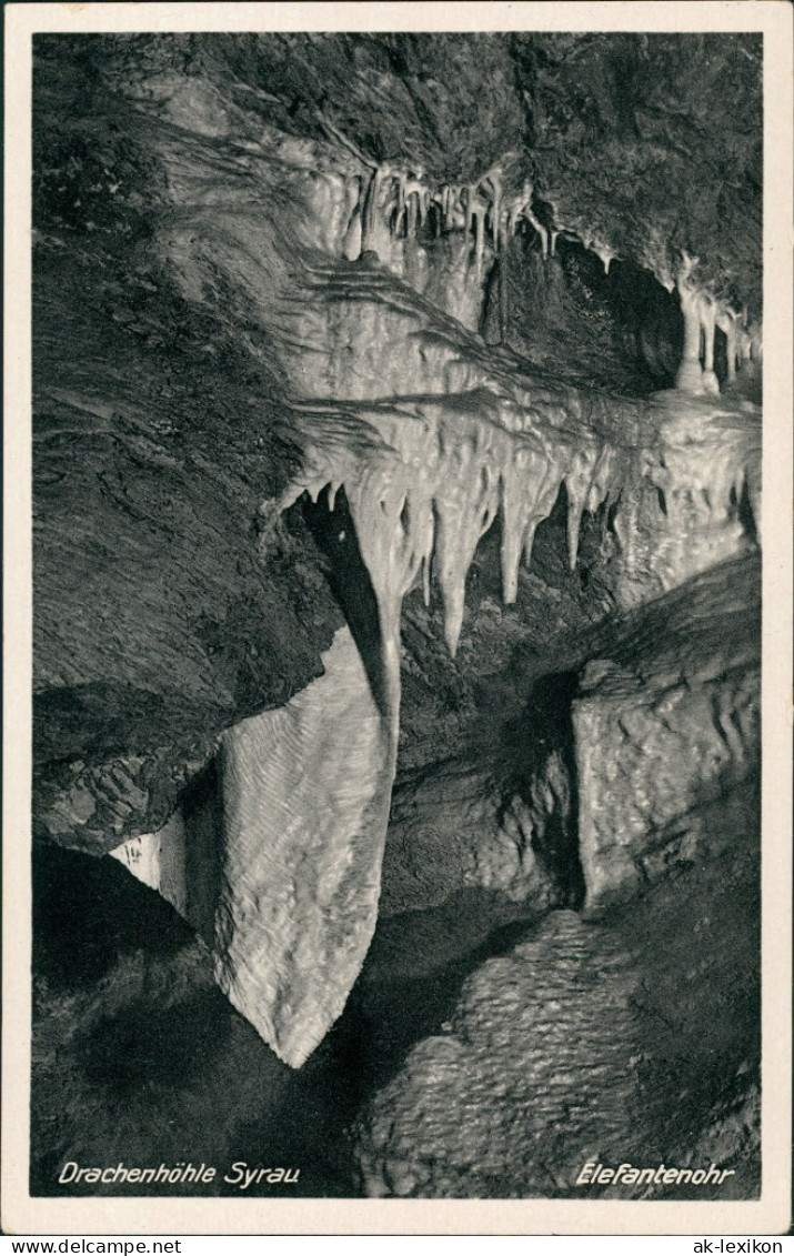 Ansichtskarte Syrau (Vogtland) Drachenhöhle Elefantenohr 1961 - Syrau (Vogtland)