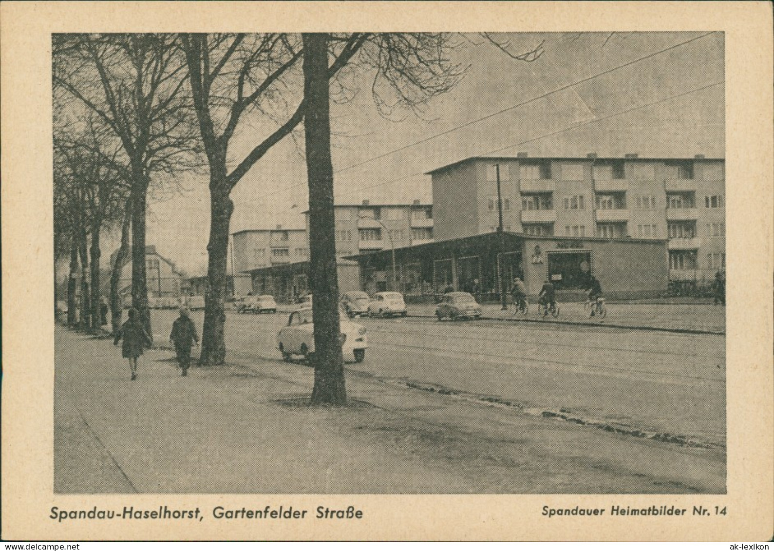 Spandau-Berlin Spandauer Heimatbild Haselhorst, Gartenfelder Straße 1959 - Spandau