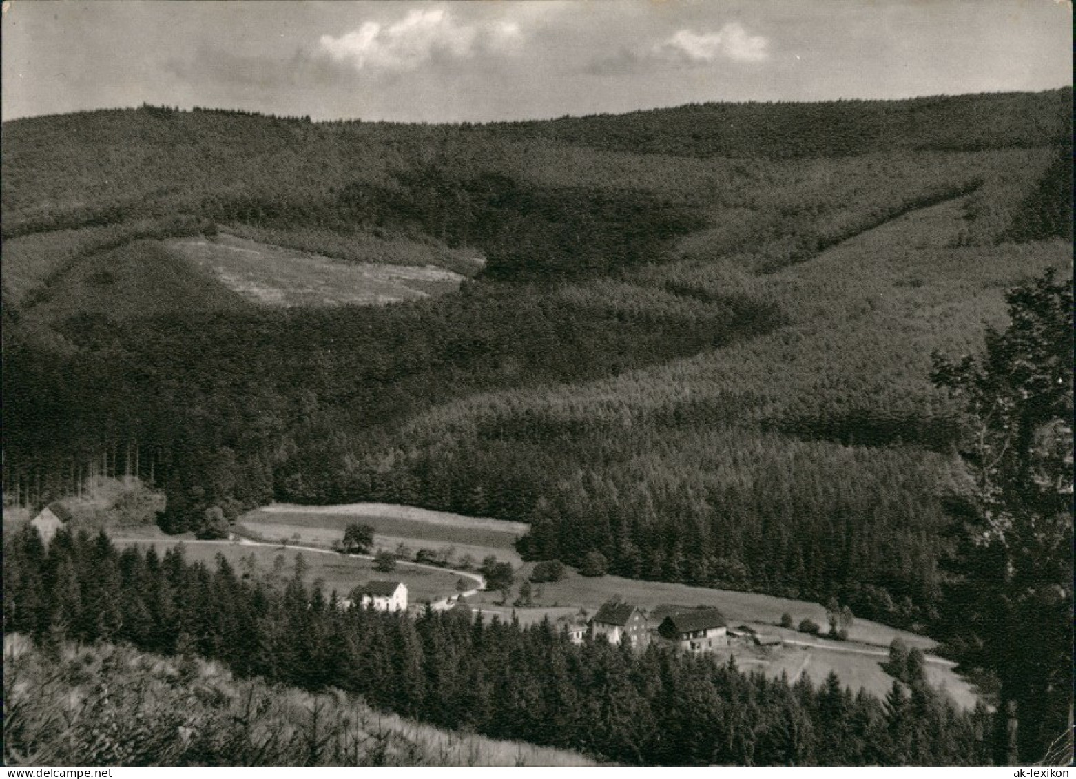 Ansichtskarte Vielbrunn-Michelstadt Umland-Ansicht Ohrenbachtal Odenwald 1969 - Michelstadt