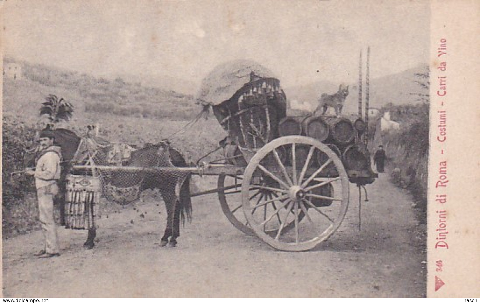 485247Dintorni Di Roma, Costumi Carri Da Vino.   - Transport