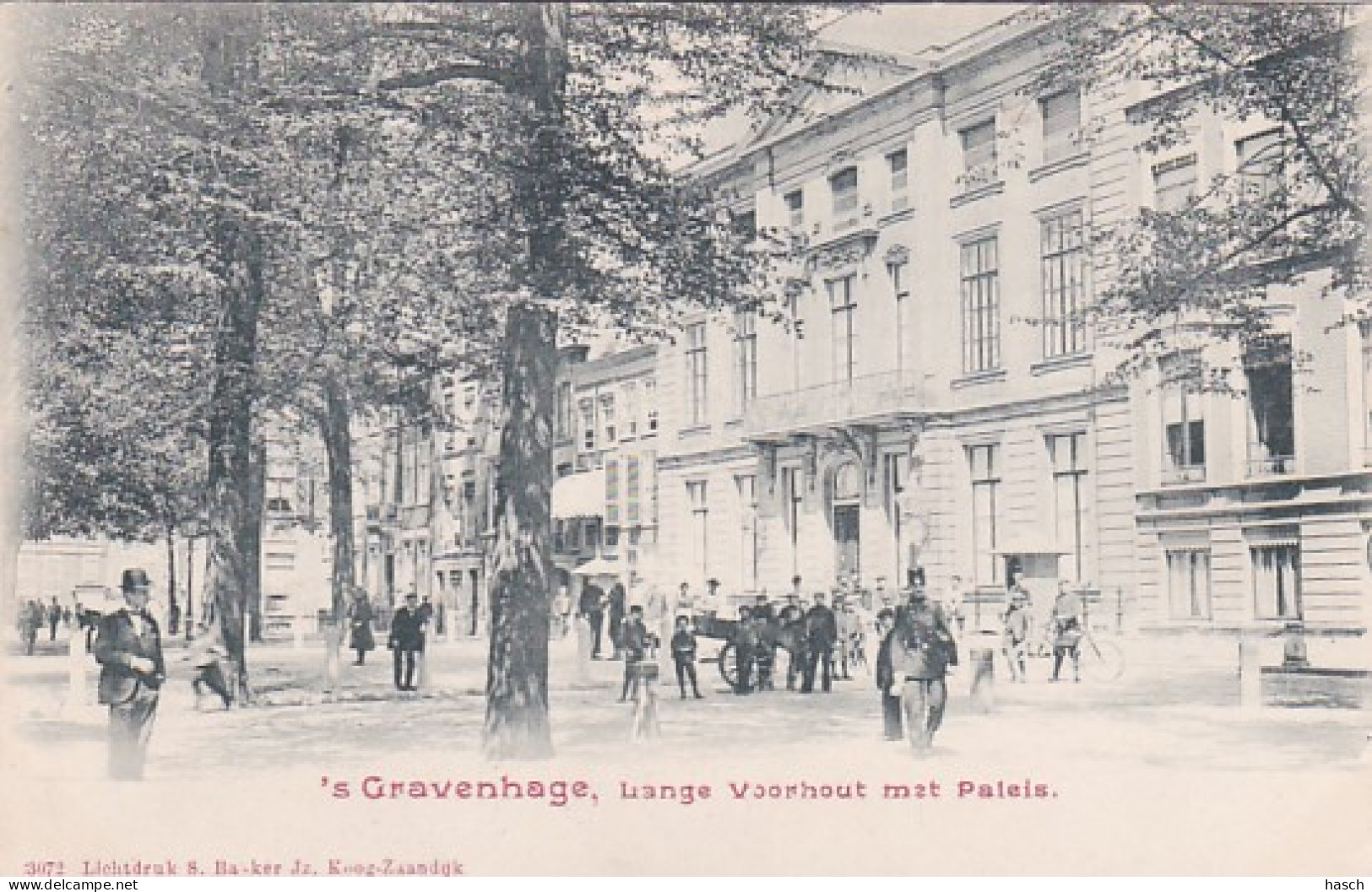 4853111's Gravenhage, Lange Voorhout Met Paleis Rond1900.  - Den Haag ('s-Gravenhage)