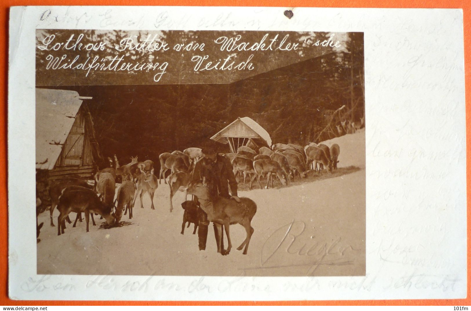 AUSTRIA - STYRIA - BRUCK MURZZUSCHLAG, LOTHAR RITTER VON WACHTLER - WILDFUTTERUNG VEITSCH - Mürzzuschlag