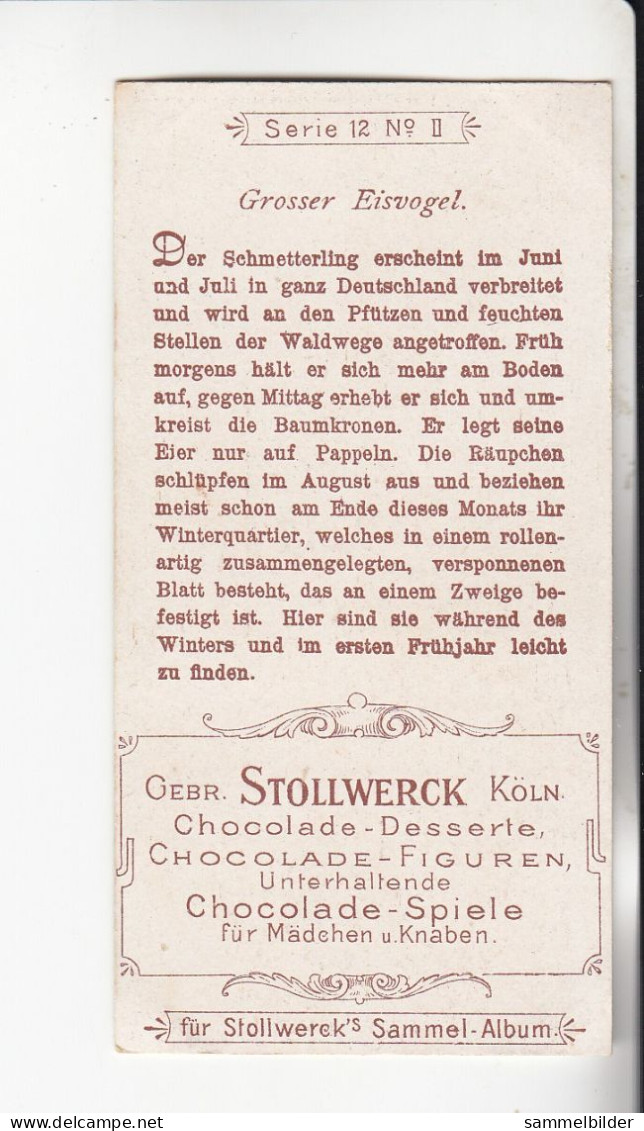 Stollwerck Album No 1  Schmetterlinge Grosser Eisvogel    Gruppe 12 #2 Von 1897 - Stollwerck