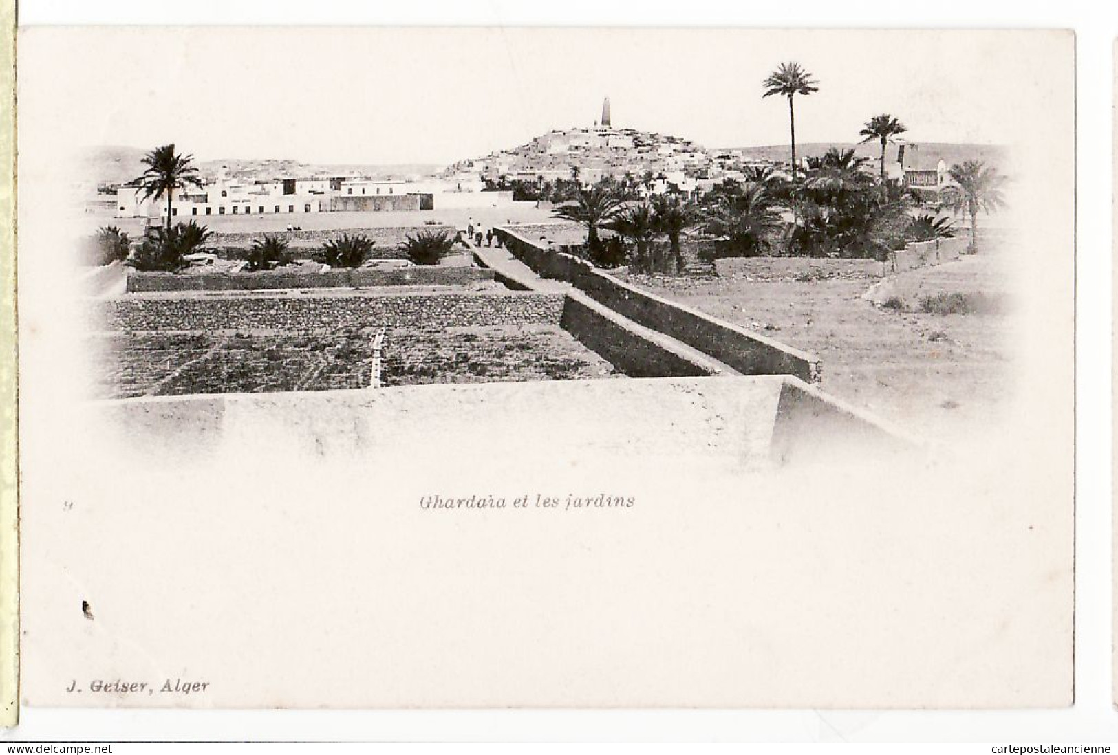 36395 / ⭐ Vallée Mzab Algerie GHARDAIA Les JARDINS Potagers 1890s GEISER 9 Algeria Algerien Argelia Algerije - Ghardaïa