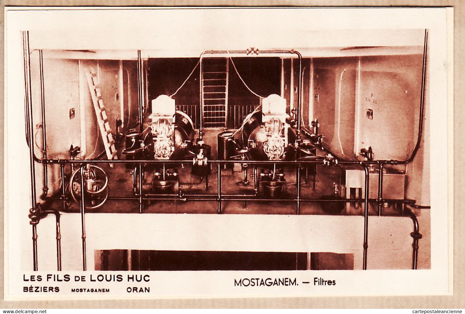 36409 / ⭐ Chais De MOSTAGANEM Des Fils De LOUIS HUC ORAN BEZIERS Hérault Machinerie Les FILTRES 1930s  - Mostaganem
