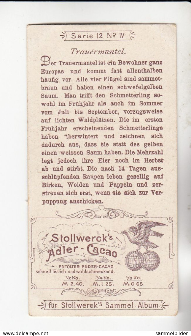 Stollwerck Album No 1  Schmetterlinge Trauermantel    Gruppe 12 #4 Von 1897 - Stollwerck