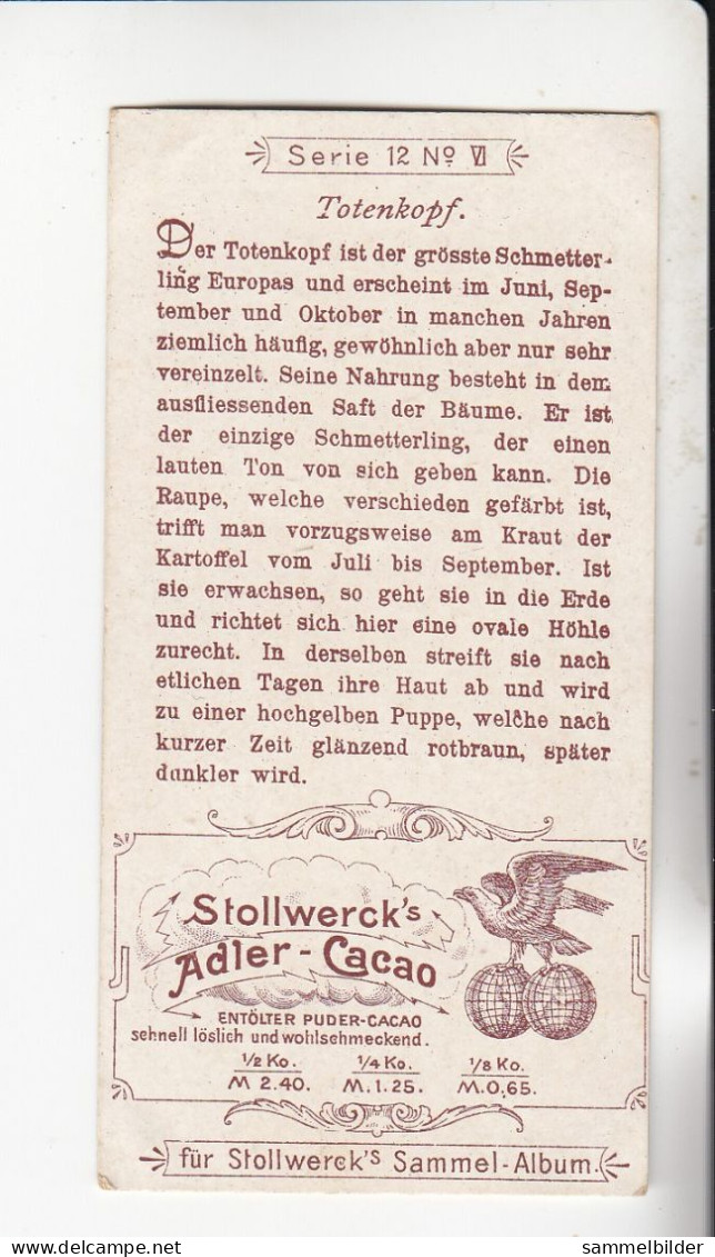 Stollwerck Album No 1  Schmetterlinge Toenkopf  Gruppe 12 #6 Von 1897 - Stollwerck