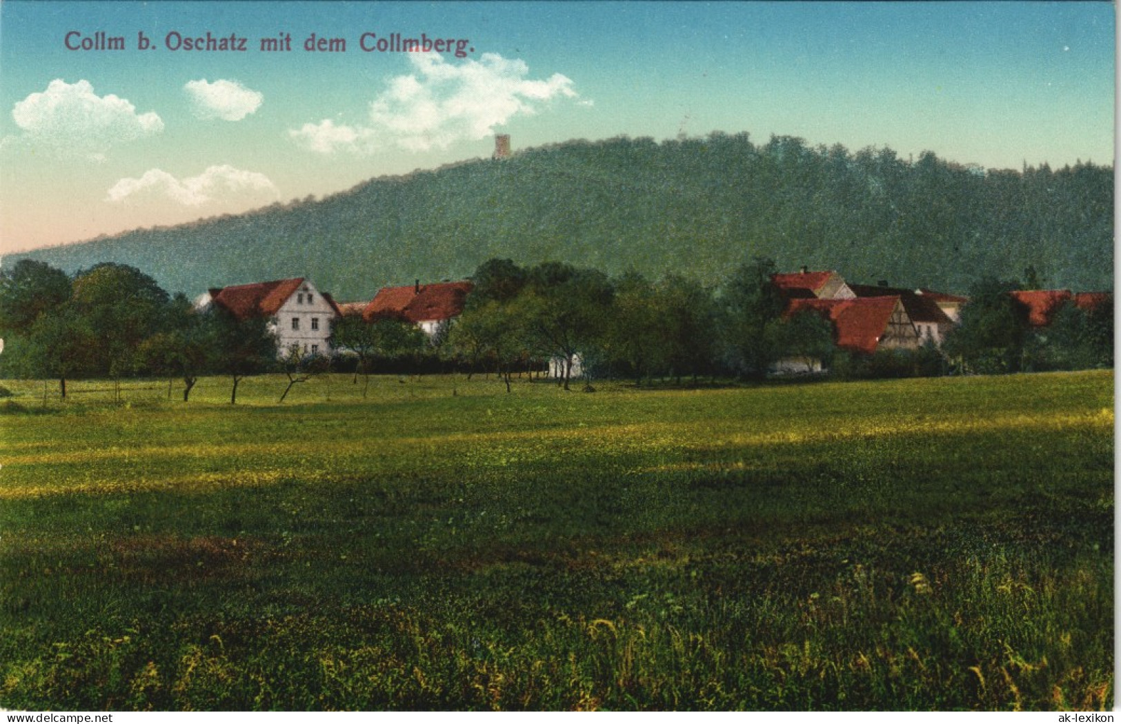 Ansichtskarte Collm-Wermsdorf Ort Mit Collmberg 1913 - Wermsdorf