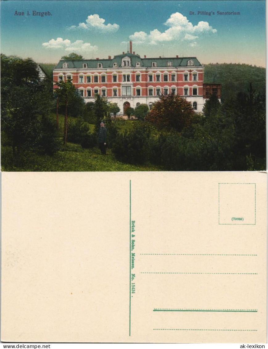 Ansichtskarte Aue (Erzgebirge) Dr. Pilling`s Sanatorium 1918/1913 - Aue