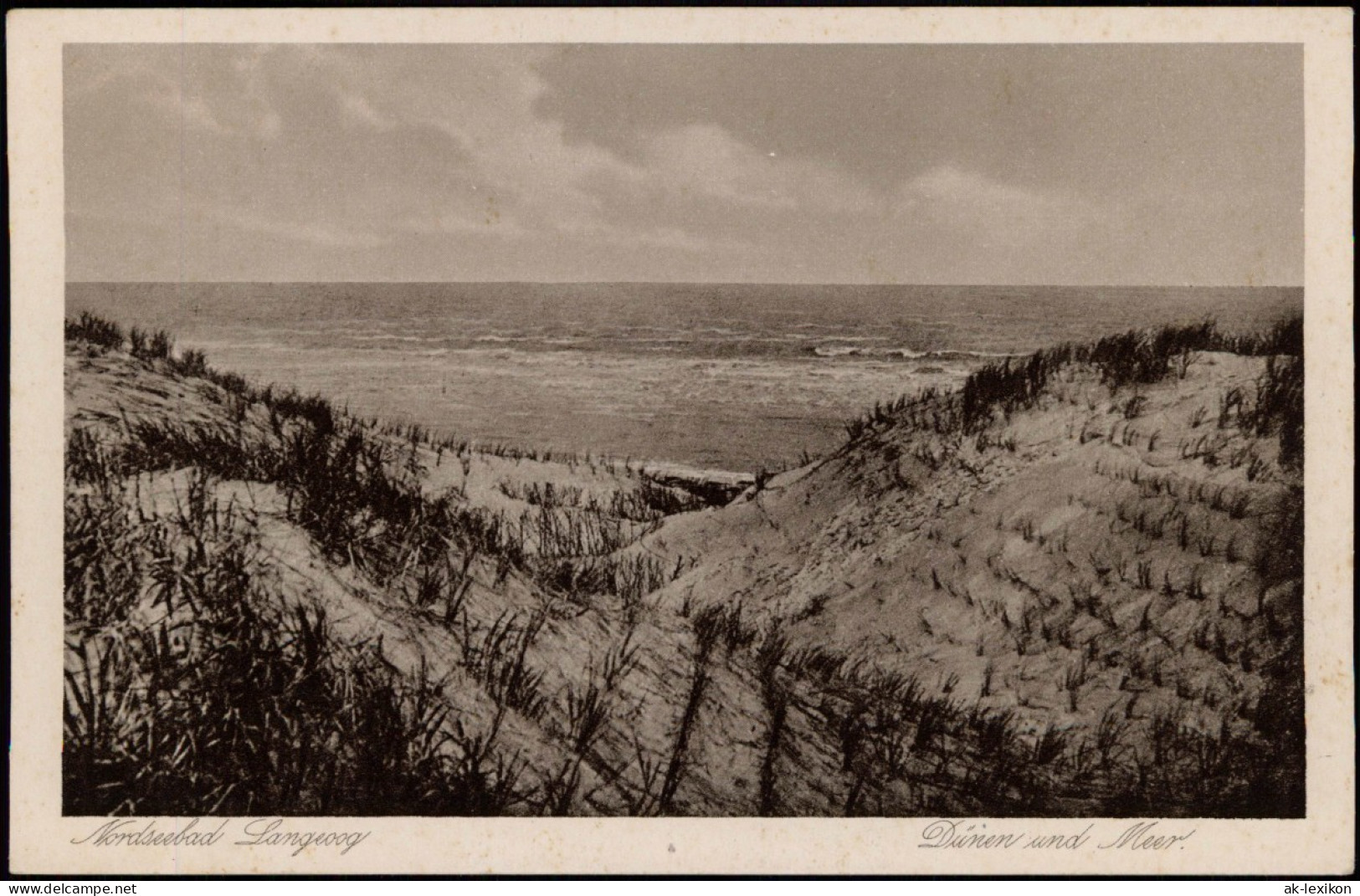 Ansichtskarte Langeoog Dünen Und Meer 1928 - Langeoog