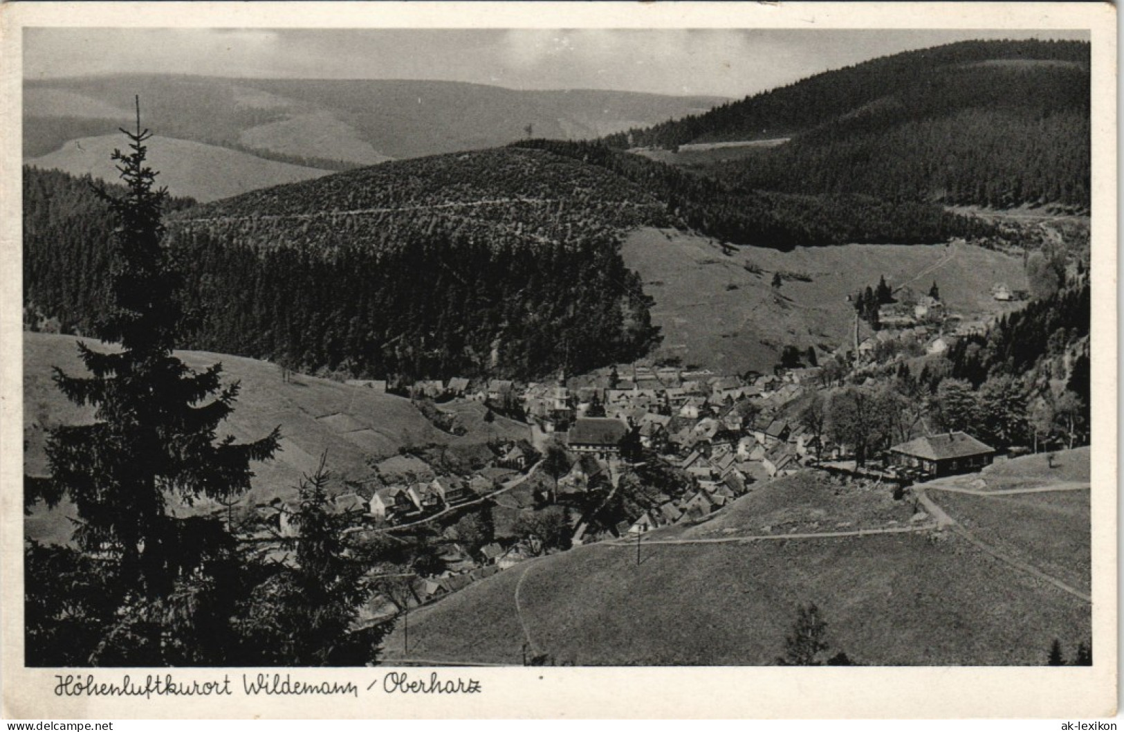 Ansichtskarte Wildemann (Innerstetal) Panorama-Ansicht (Harz) 1950 - Wildemann