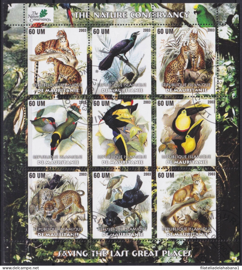 F-EX48034 MAURITANIE USED 2003 SHEET BIRD AVES PAJAROS OISEAUX FELINE LION.  - Used Stamps