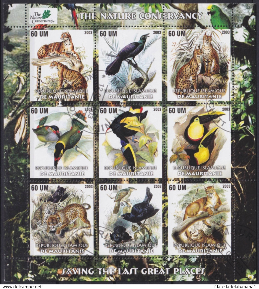 F-EX48034 MAURITANIE USED 2003 SHEET BIRD AVES PAJAROS OISEAUX FELINE LION.  - Gebraucht