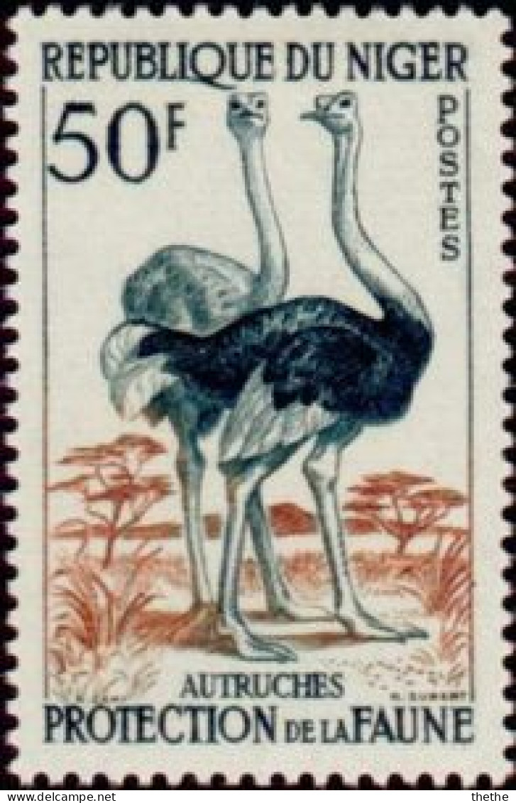 NIGER - Autruches (Struthio Camelus) - Straussen- Und Laufvögel