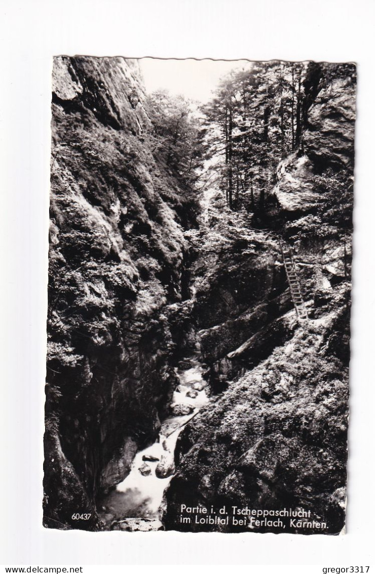 E5167) Parie I. D. Tscheppaschlucht Im LOIBLTAL Bei FERLACH - Kärnten S/W FOTO AK - Ferlach