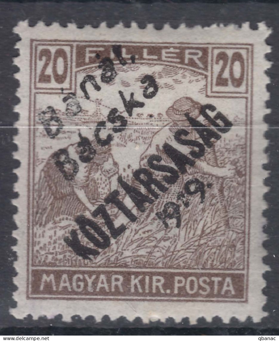 Hungary Banat Bacska 1919 Mi#29 Mint Hinged - Banat-Bacska