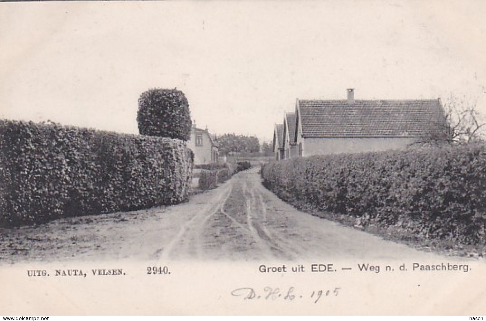 4858161Ede, Weg N. D.  Paaschberg 1905. Groet Uit Ede. (kanten Afgeknipt ?)  - Ede