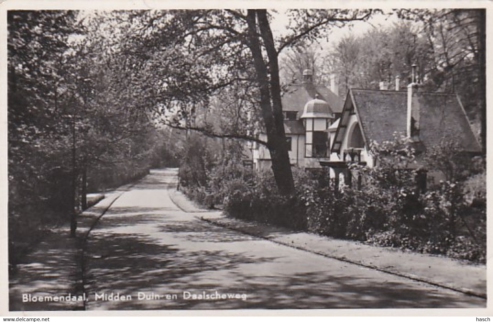 4858410Bloemendaal, Midden Duin En Daalscheweg. (FOTOKAART)  - Bloemendaal