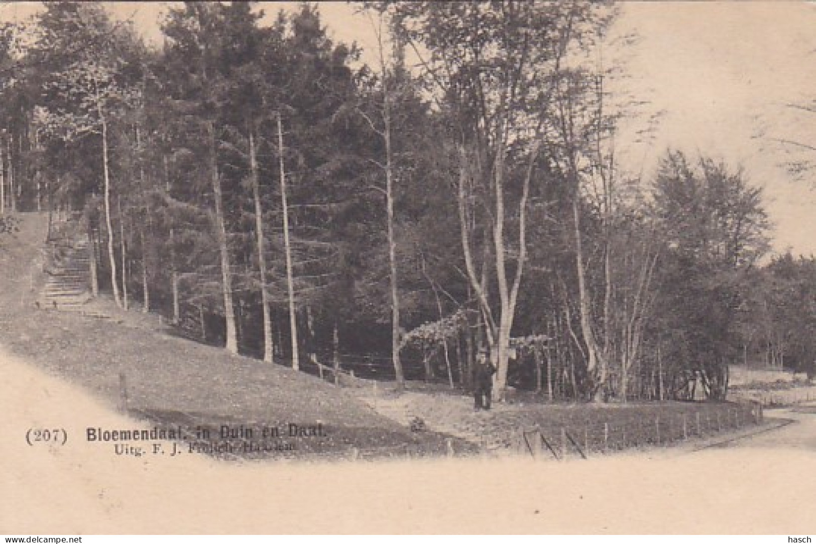 4858420Bloemendaal, In Duin En Daal.  - Bloemendaal