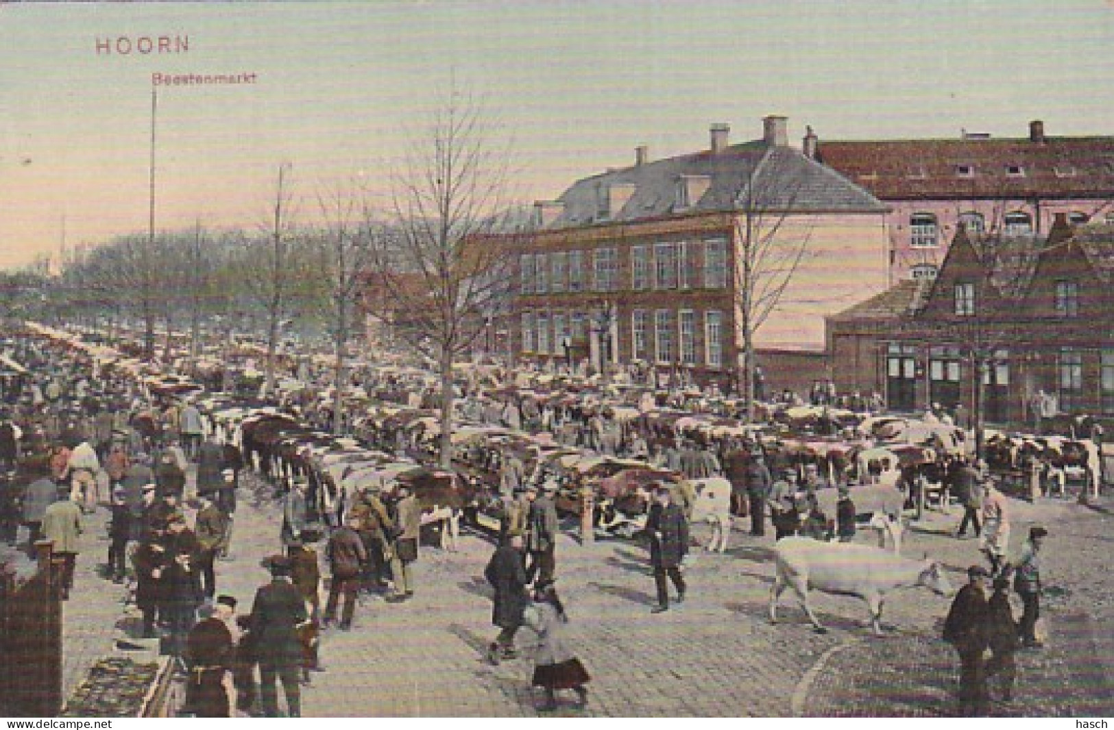 486134Hoorn, Beestenmarkt. (kleine Vouwen Zie Achterkant)  - Hoorn