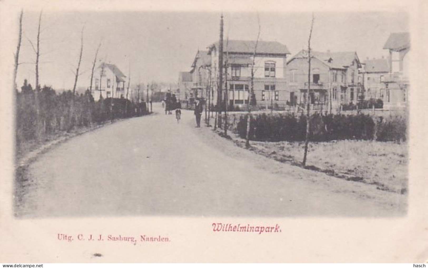 486182Naarden, Wilhelminapark Rond 1900. (rechtsonder Een Klein Vouwtje)  - Naarden