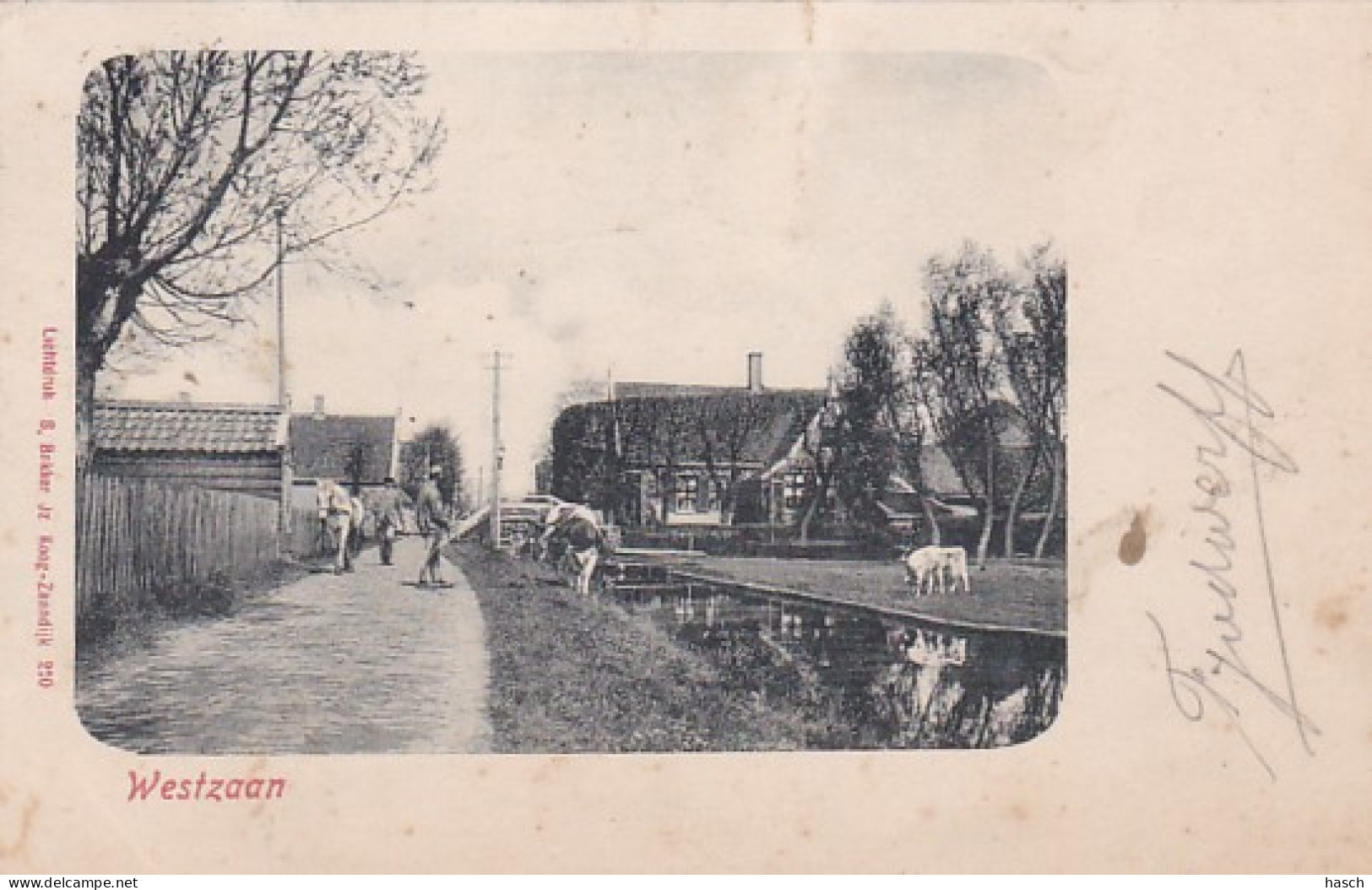 486198Westzaan, 1901. (Bovenrand Een Vouw)  - Zaanstreek