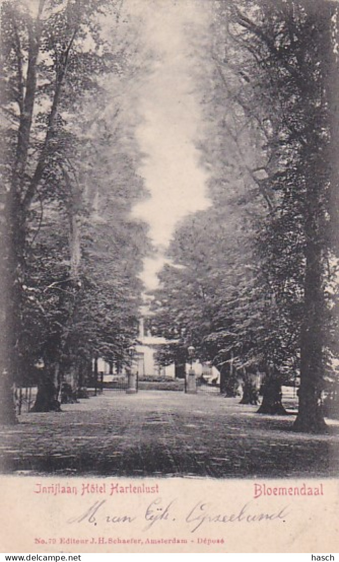 4861154Bloemendaal, Inrijlaan Hotel Hartenlust. 1902.  - Bloemendaal