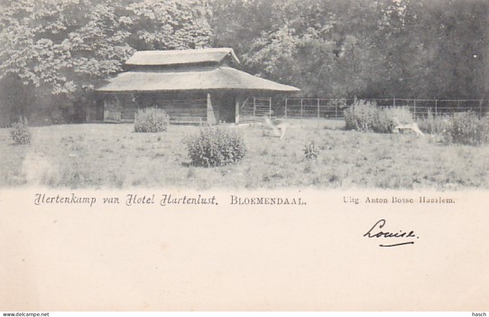 4861159Bloemendaal,  Hertenkamp Van Hotel Hartenlust Rond 1900.  - Bloemendaal