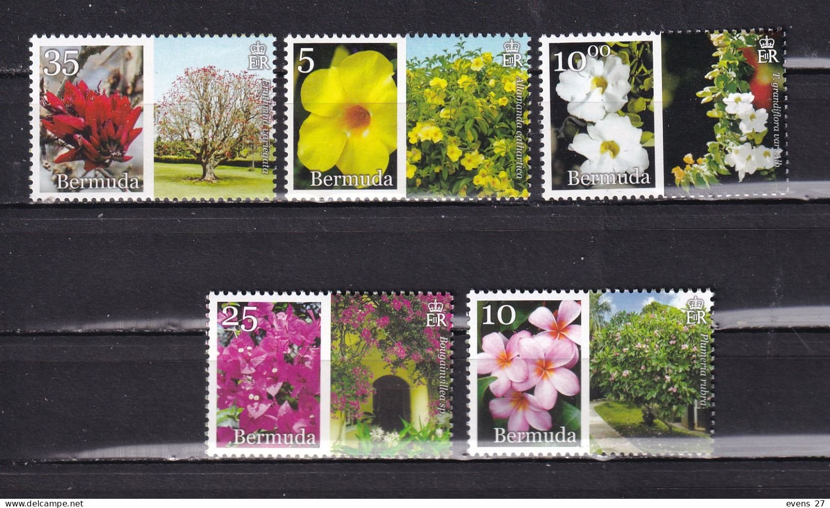 BERMUDA-2014-FLOWERS-MNH - Bermudes