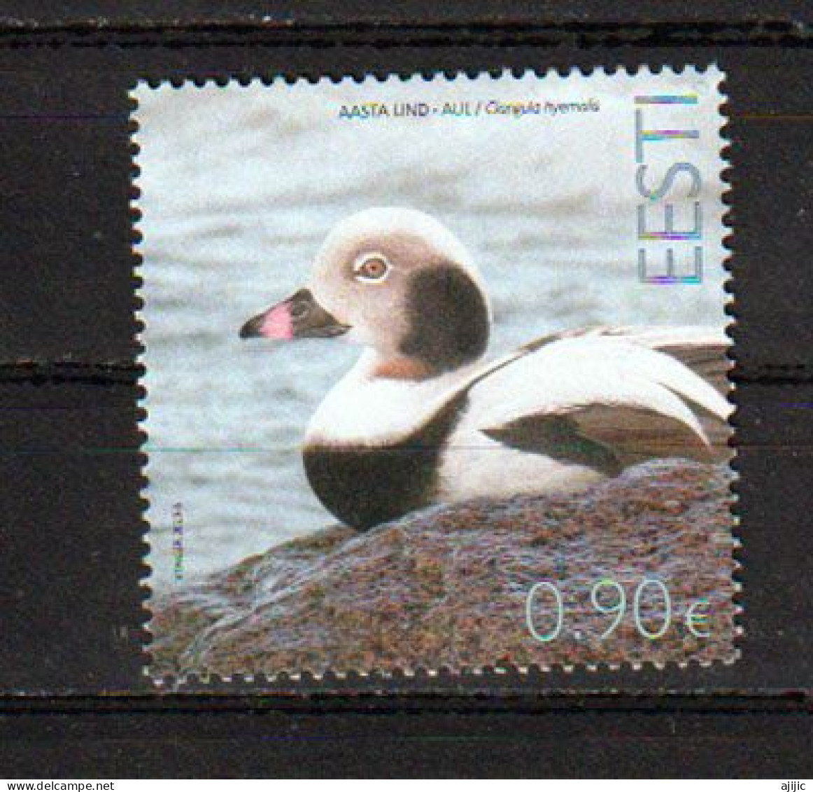 2023. ESTONIA: The Long-tailed Duck . Le Canard à Longue Queue. Timbre Neuf ** - Anatre