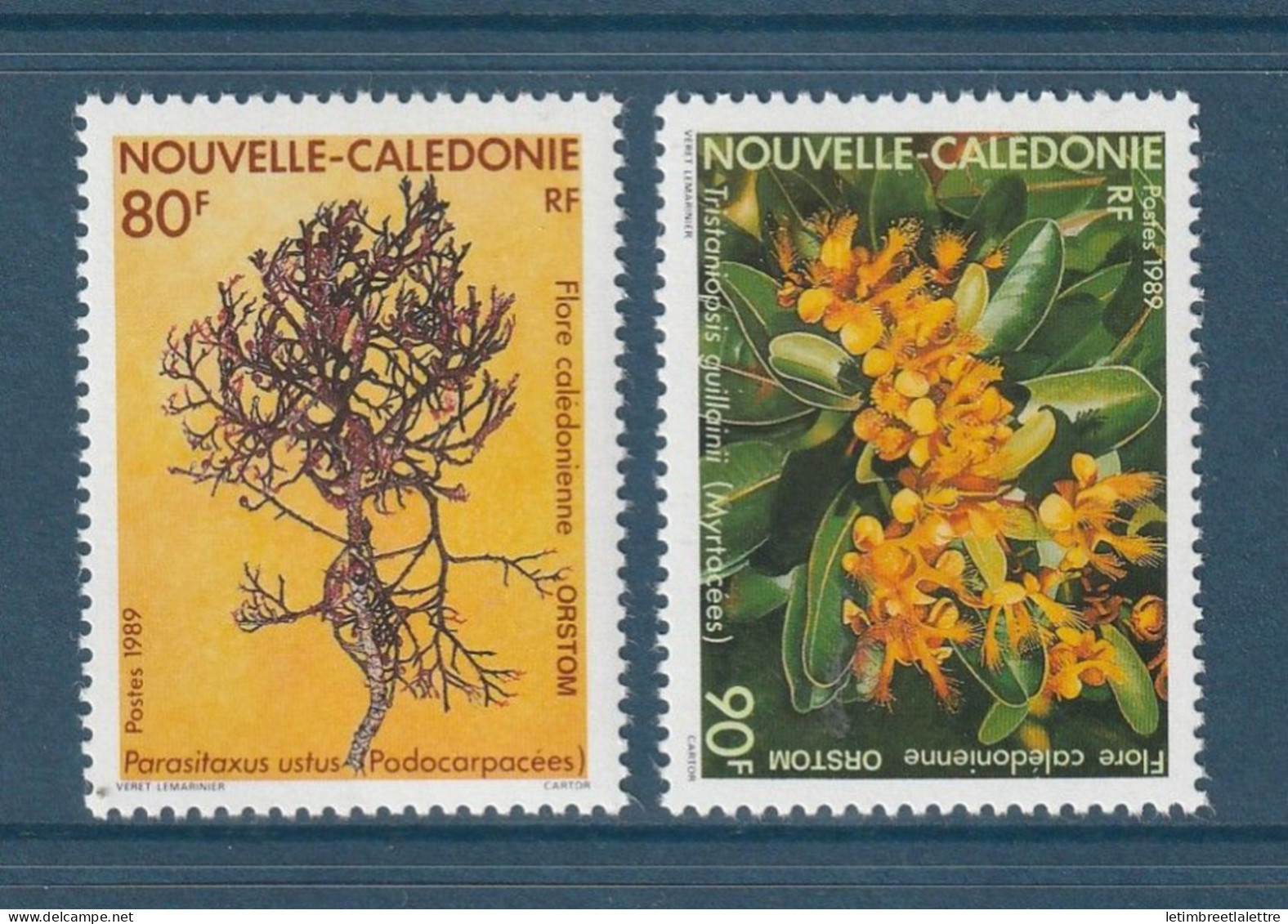 Nouvelle Calédonie - YT N° 574 Et 575 ** - Neuf Sans Charnière - 1989 - Nuovi
