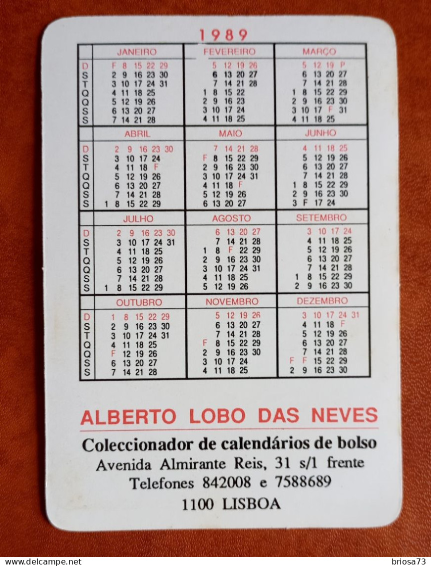 Calendrier De Poche, Novelle Plage- Calais - Tamaño Grande : 1981-90