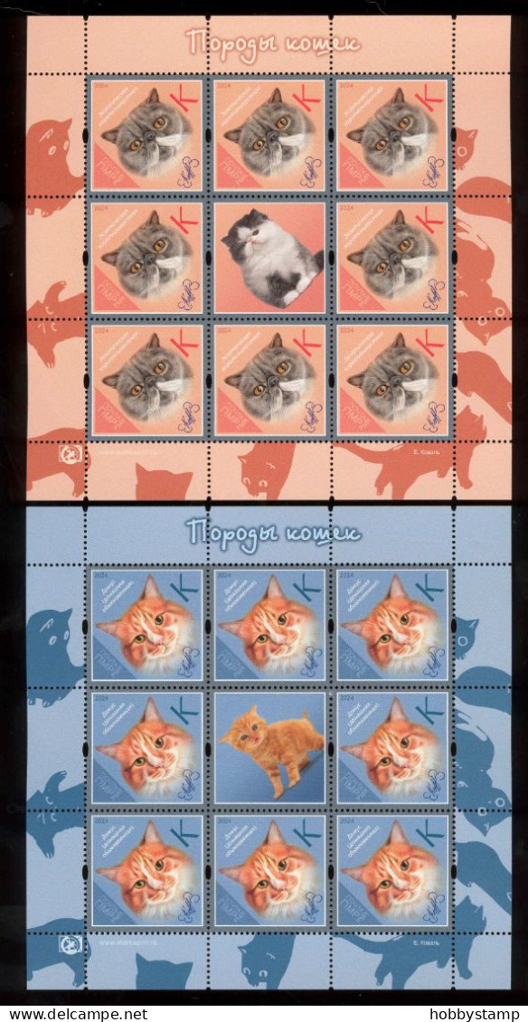 Label Transnistria 2024  Cat Breeds Cats 4Shets**MNH - Fantasie Vignetten