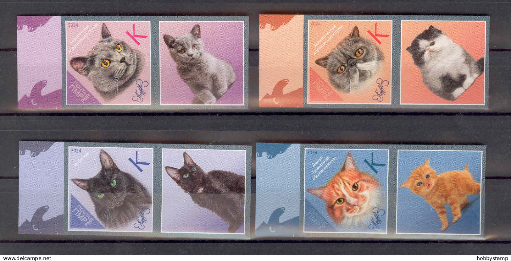 Label Transnistria 2024  Cat Breeds Cats 4v**MNH + 4 Labels Imperforated - Fantasie Vignetten