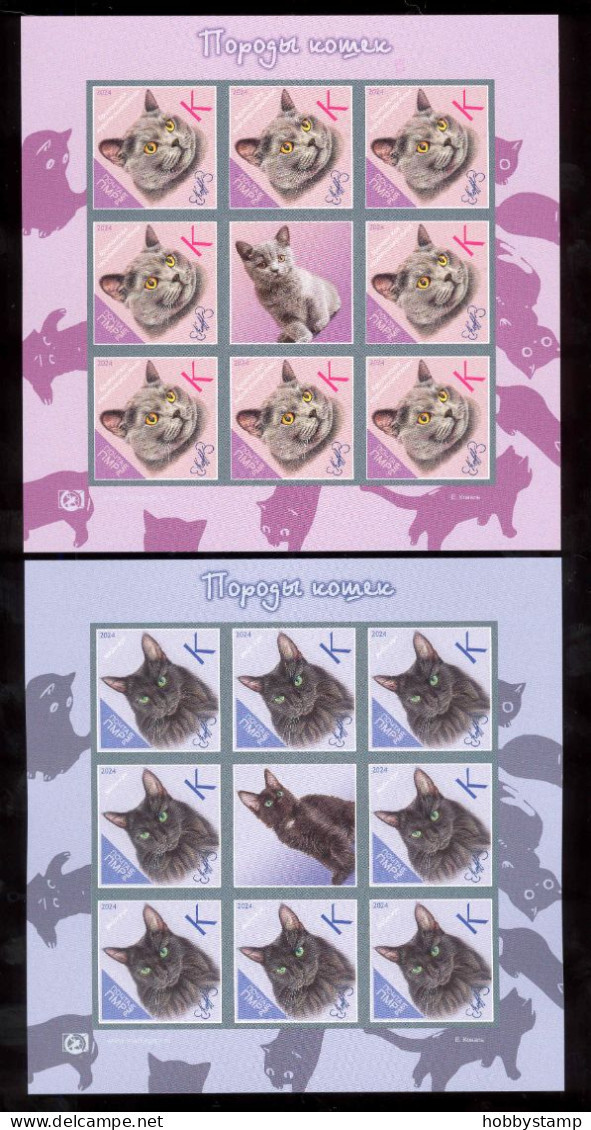 Label Transnistria 2024  Cat Breeds Cats 4Sheets**MNH   Imperforated - Fantasie Vignetten
