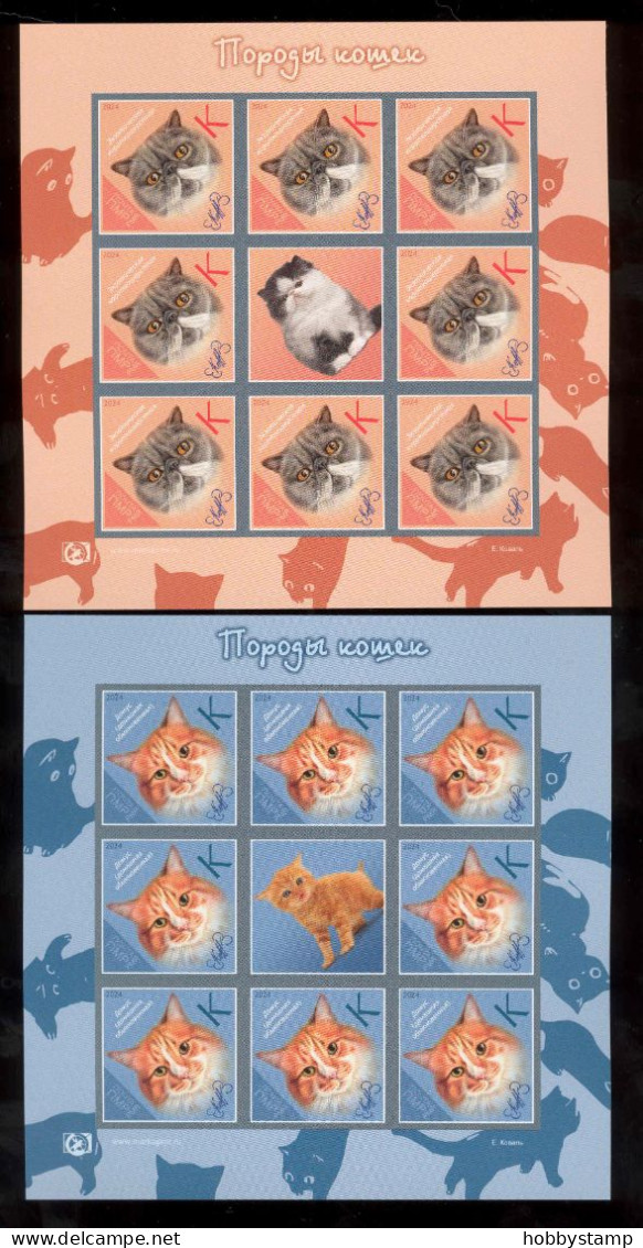 Label Transnistria 2024  Cat Breeds Cats 4Sheets**MNH   Imperforated - Fantasy Labels