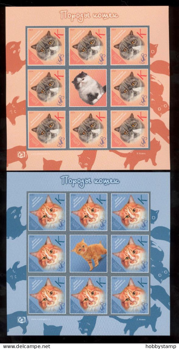 Label Transnistria 2024  Cat Breeds Cats 4Sheets**MNH   Imperforated - Etichette Di Fantasia