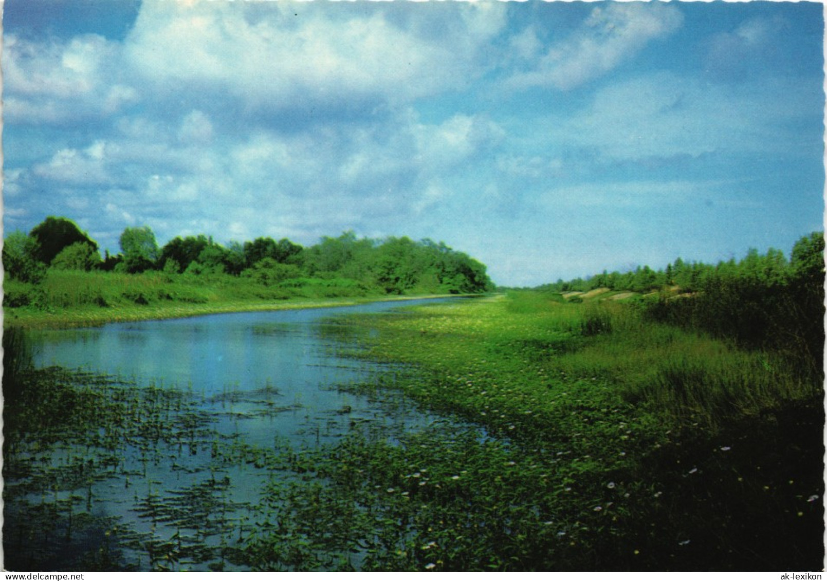 Irrigatiekanaal Te Totness Irrigation Canal "Totness" District Suriname 1970 - Suriname