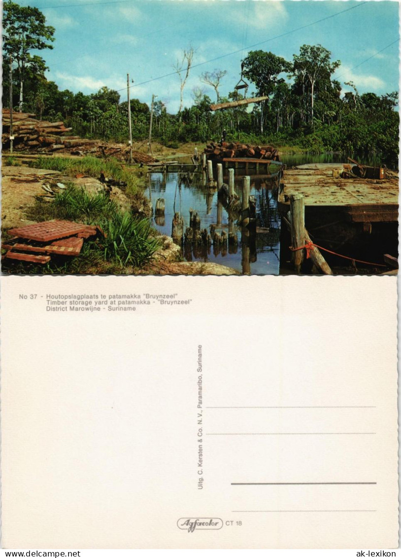 Paramaribo Houtopslagplaats Te Patamakka Bruynzeel District Marowijne 1970 - Suriname