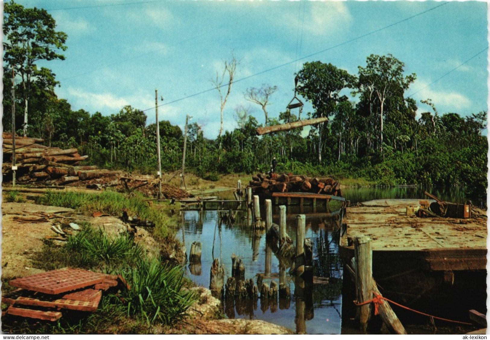 Paramaribo Houtopslagplaats Te Patamakka Bruynzeel District Marowijne 1970 - Suriname