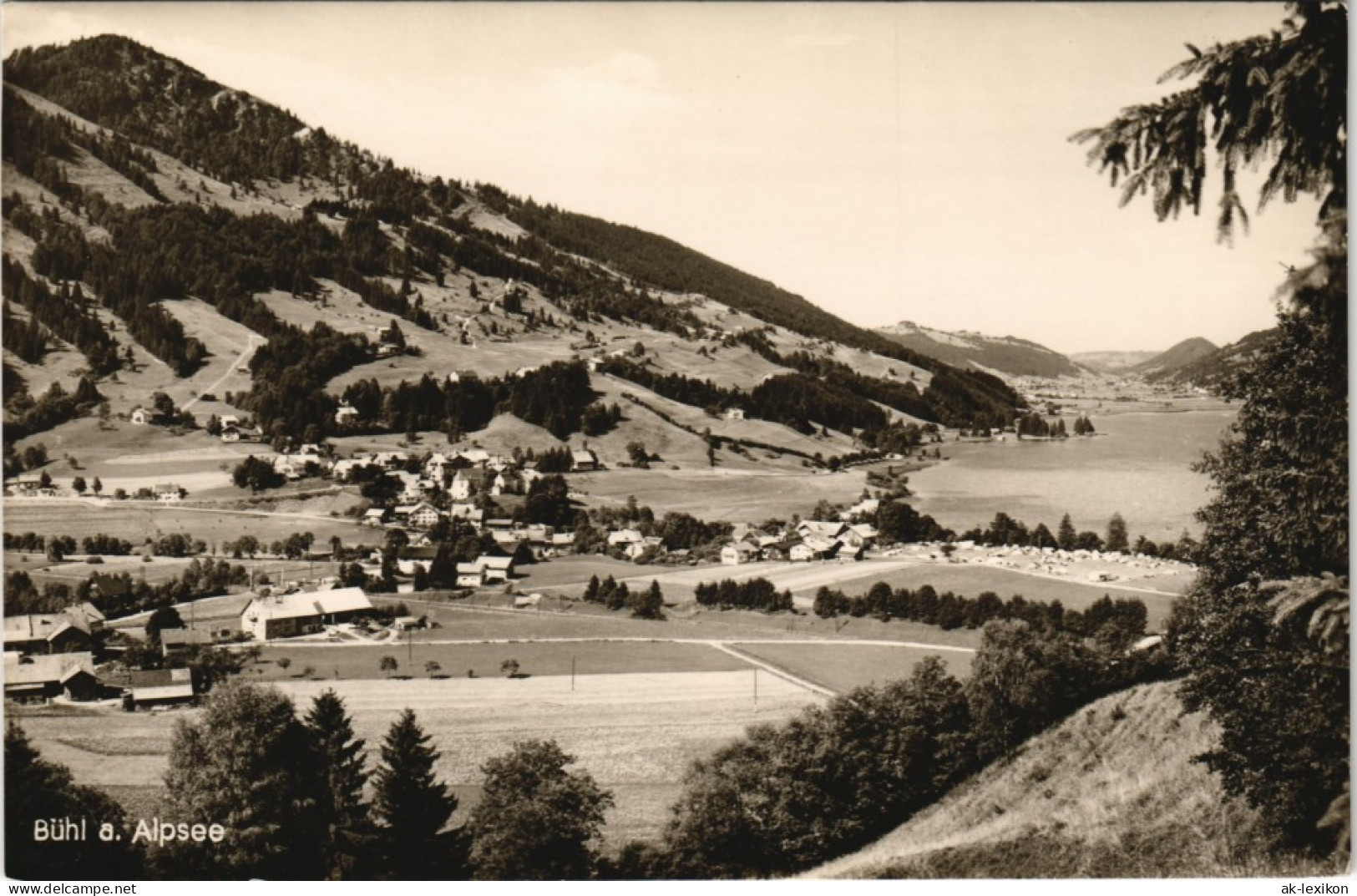 Ansichtskarte Bühl Am Alpsee-Immenstadt (Allgäu) Panorama-Ansicht 1950 - Immenstadt