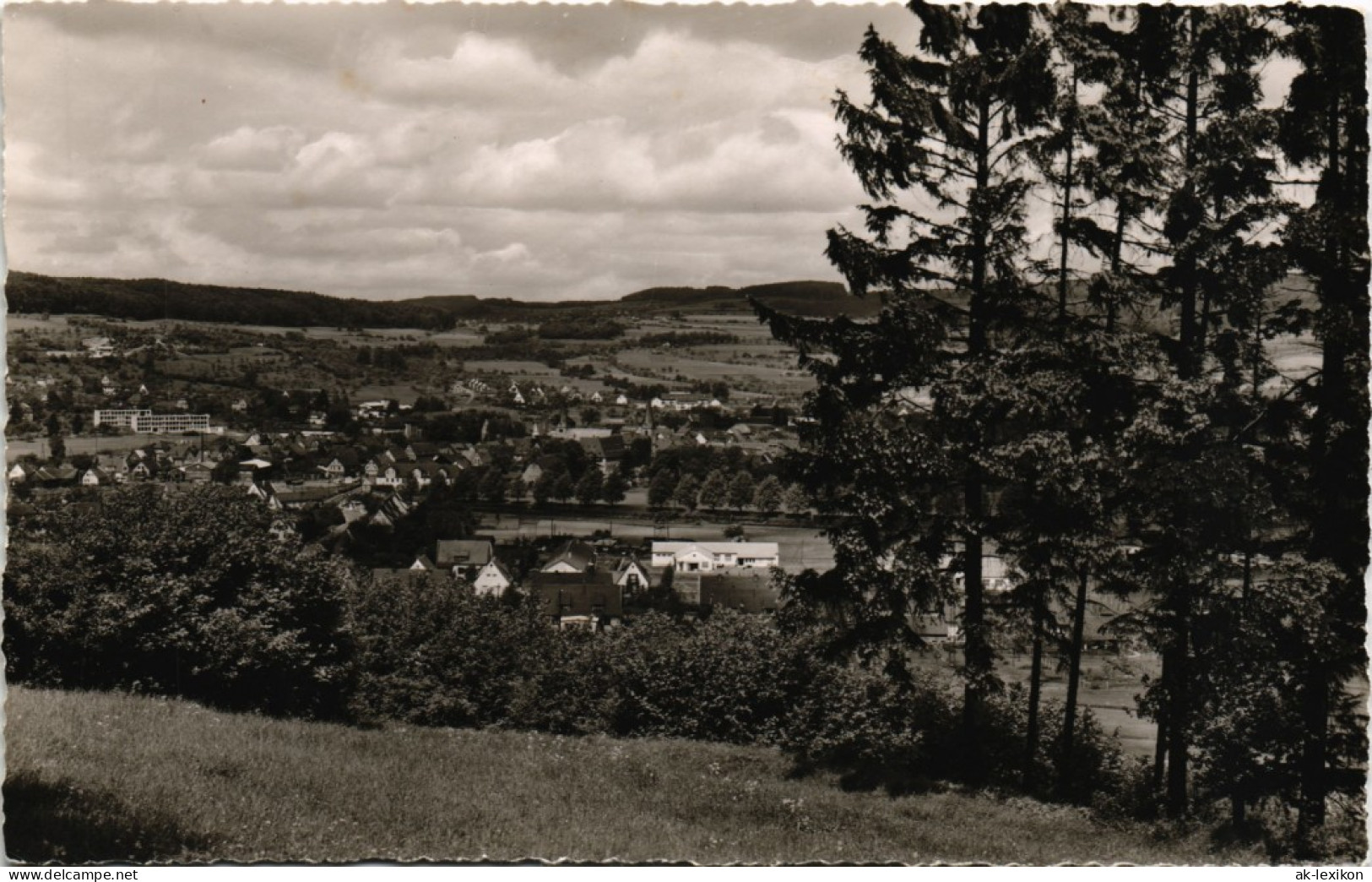Ansichtskarte Schlüchtern (Bergwinkelstadt) Panorama-Ansicht 1960 - Schlüchtern