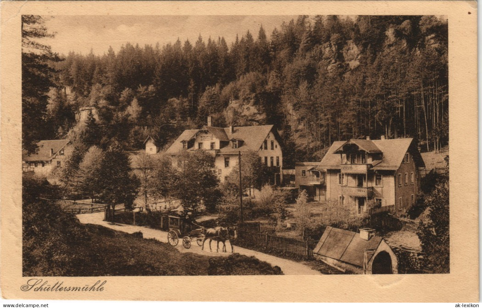 Ansichtskarte Schüttersmühle-Pottenstein Villen Und Kutsche 1926 - Pottenstein