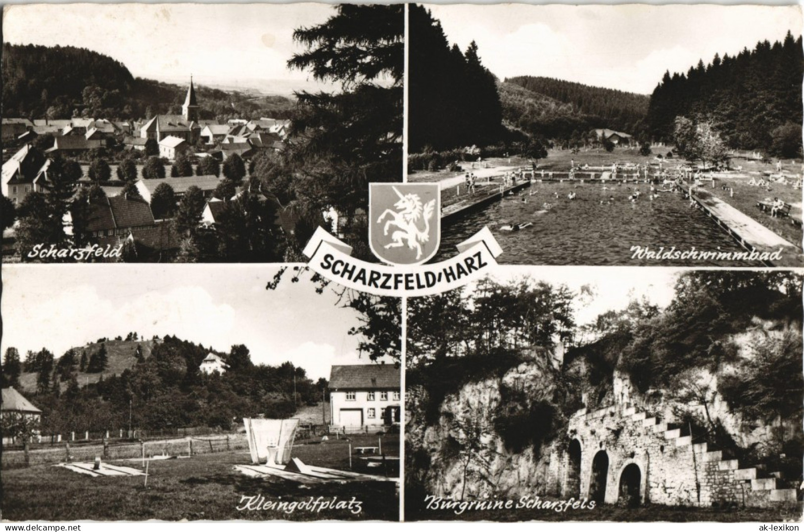 Schwarzfeld-Herzberg (Harz) Stadt, Waldschwimmbad, KLeingolfplatz 1962 - Herzberg