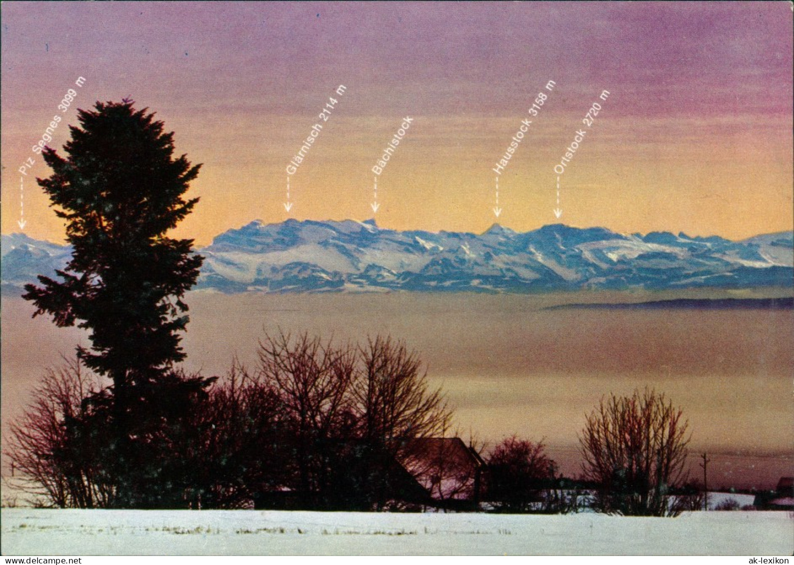 Höchenschwand Blick Auf Die Schweizer Alpenkette Panorama-Ansicht 1960 - Hoechenschwand