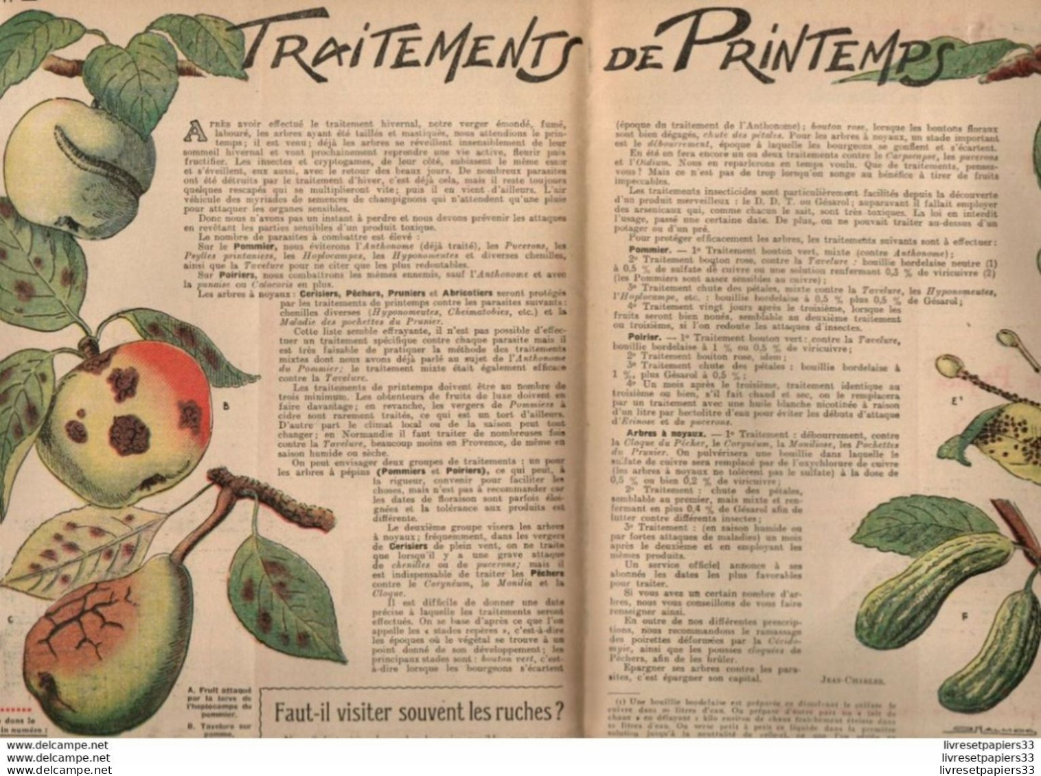 Rustica Pour Produire Du Plant De Tomate Avril 1952 - Garden